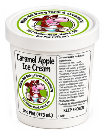 Carmel Applie Ice Cream